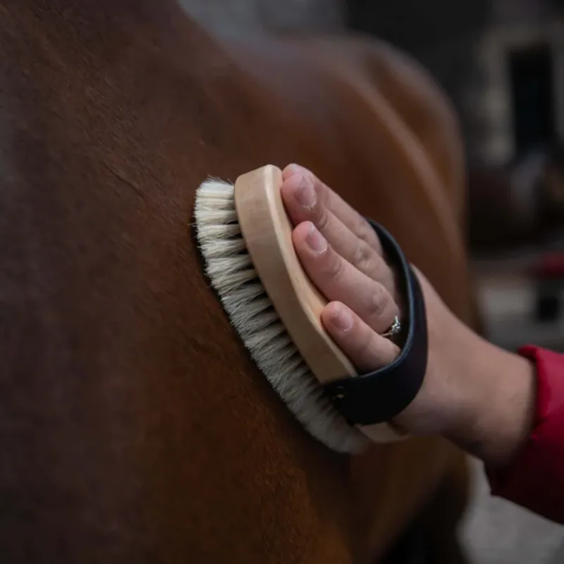 Smart Grooming - Traditional Body Brush